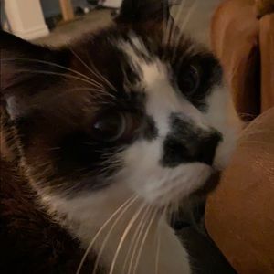 Meet your Posher, Amber